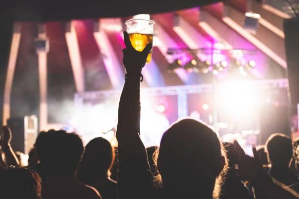 6 Hacks to Avoid Hearing Damage From A Concert