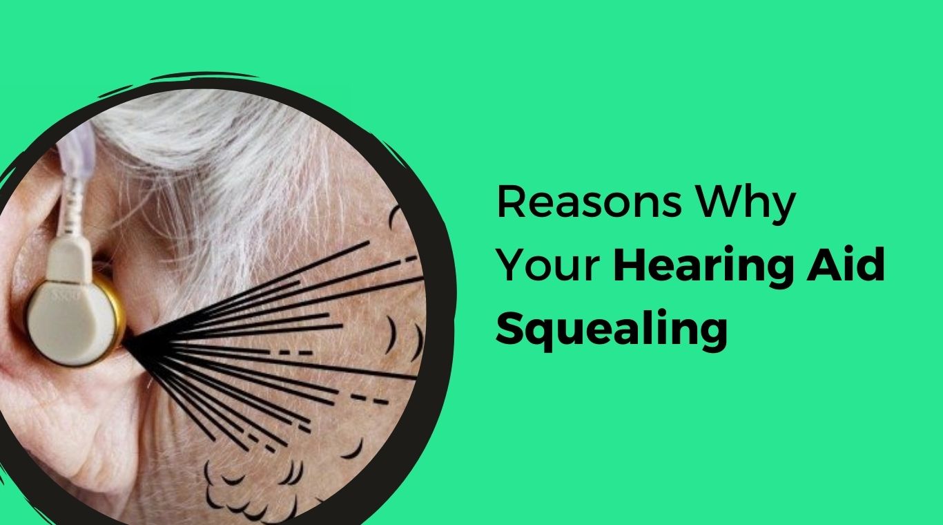 Top 6 Reasons Why Your Hearing Aid Squealing